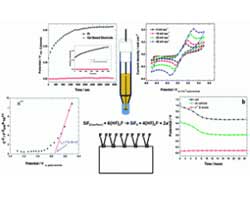 Reference Electrode for Ionic Liquids