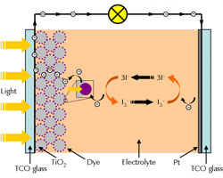 simplified diagram of a dye solar cell.